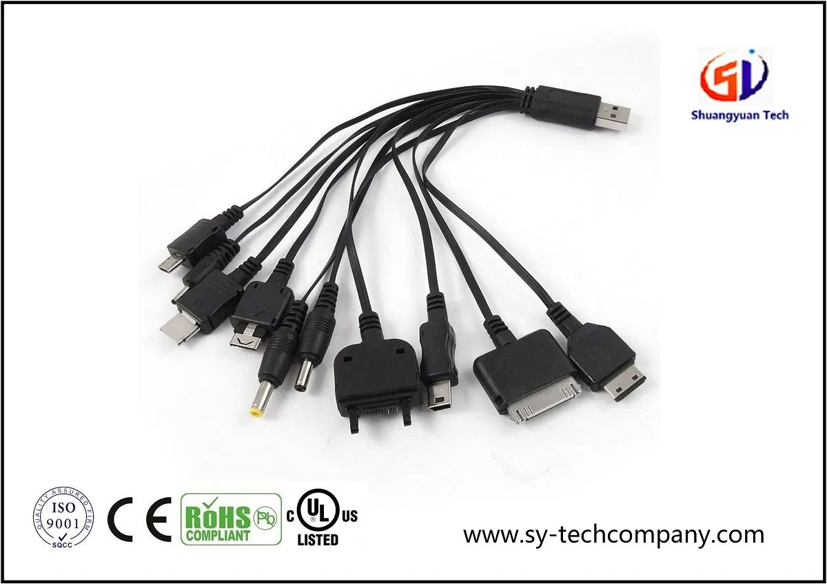 10-in-1 Multifunction USB Charger Cable
