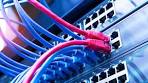 The Different Types of Network Switches