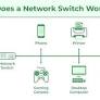 What is a network switch, and how does it work?
