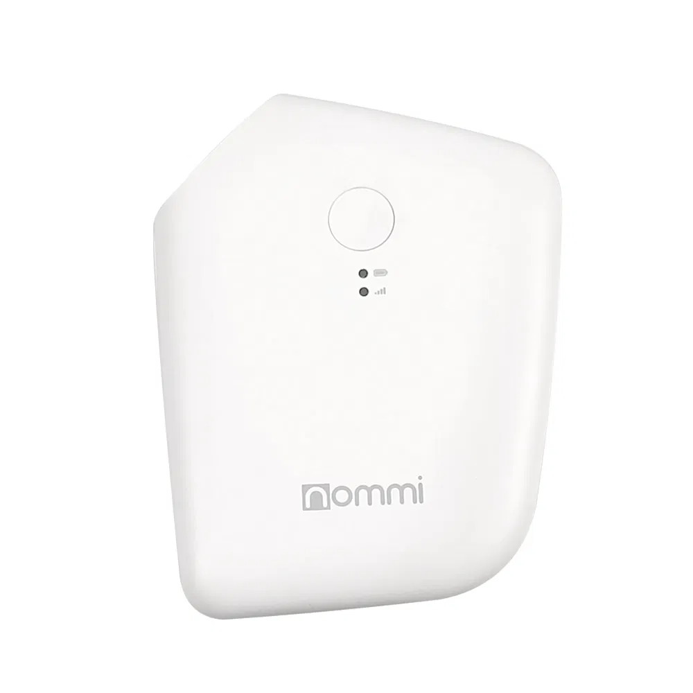 Customized Esim Function 4G Travel WiFi Router
