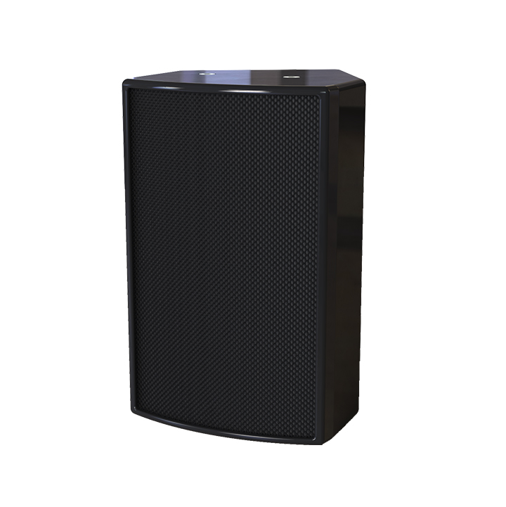 Dante Speaker