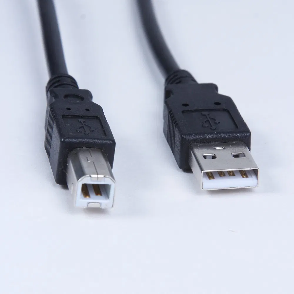 Type a to Type B Printe Cable USB 2.0 Cable