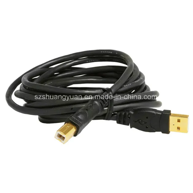 USB 2.0 - a Male to B Male Cable (10 Feet)