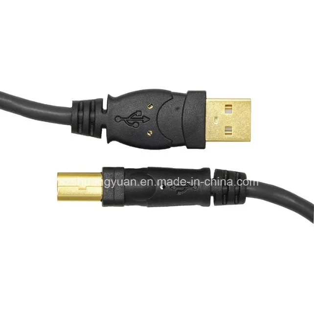 USB 2.0 - a Male to B Male Cable (10 Feet)