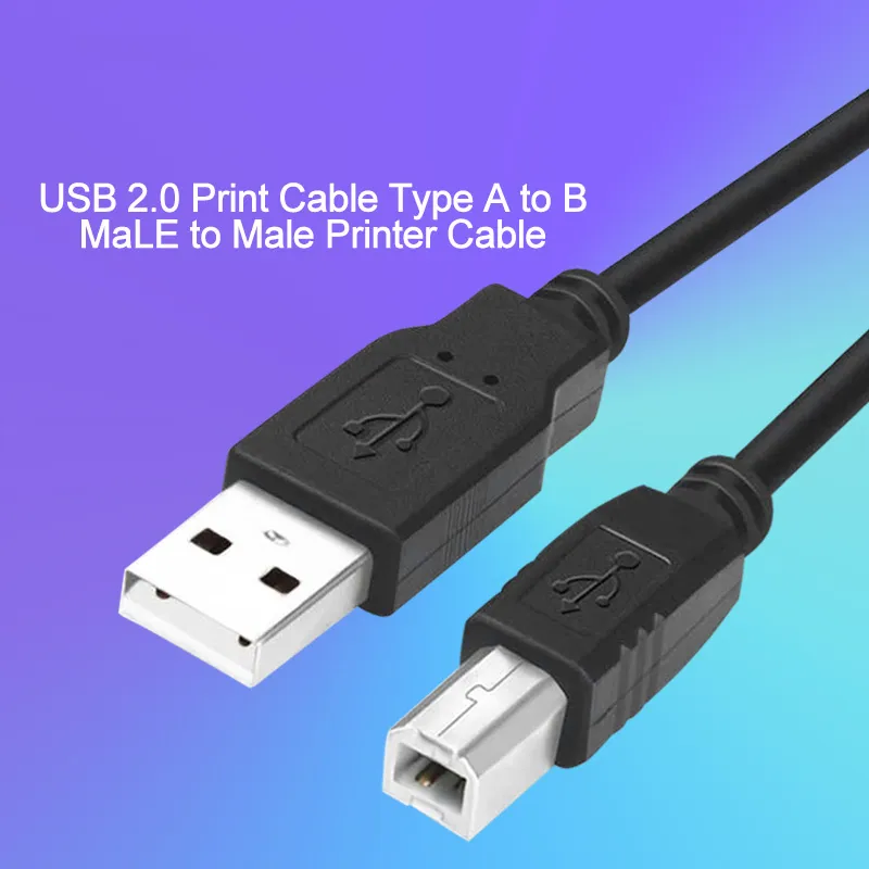 USB Printer Cable Type a to Type B Male 1m 1.8m 3m 5m Type B Port